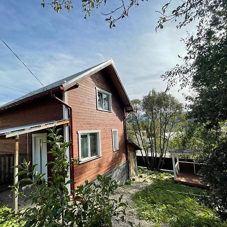 Карпатський Котедж Karpatian Cottage Vorokhta Esterno foto