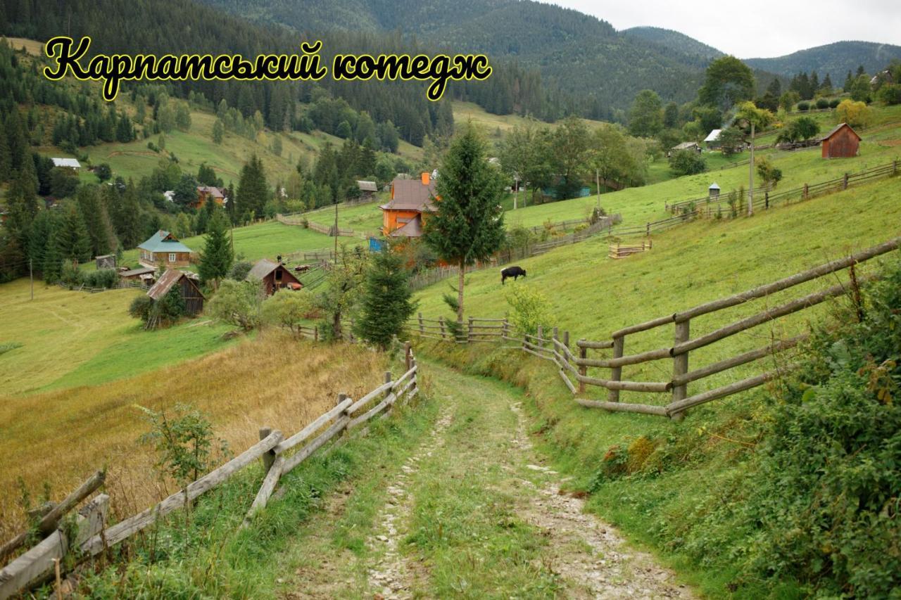 Карпатський Котедж Karpatian Cottage Vorokhta Esterno foto