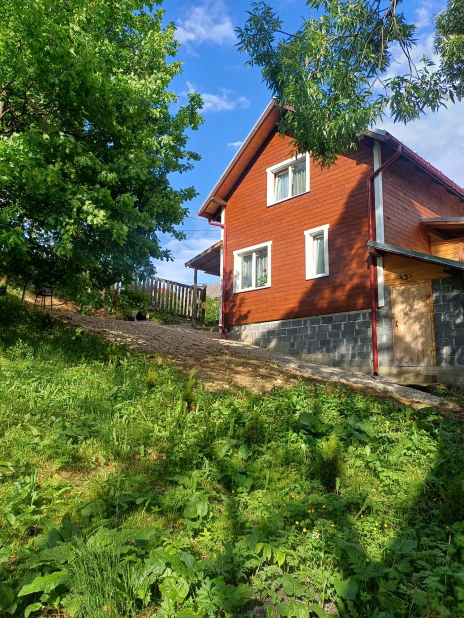 Карпатський Котедж Karpatian Cottage Vorokhta Esterno foto